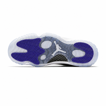 Air Jordan 11 Retro "Concord"